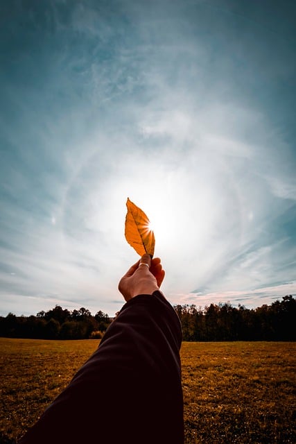 law of attraction Spiritual awakening